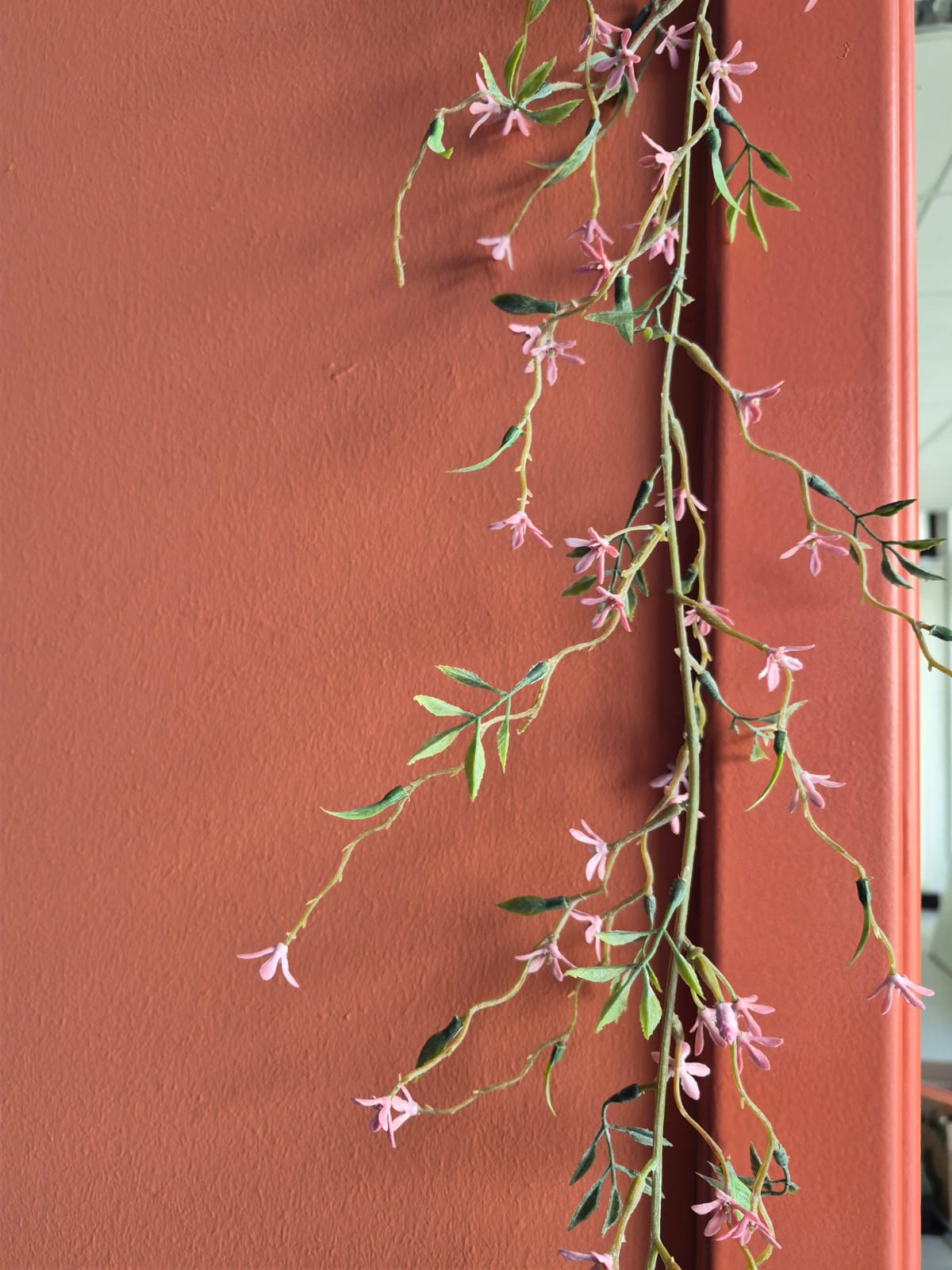 Zarte Blüten vor terrakotta-roter Wand